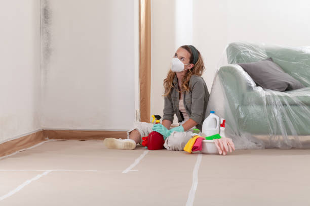 Reliable Basement Mold Remediation contractor in Coburn, PA by WQB Mold Removal